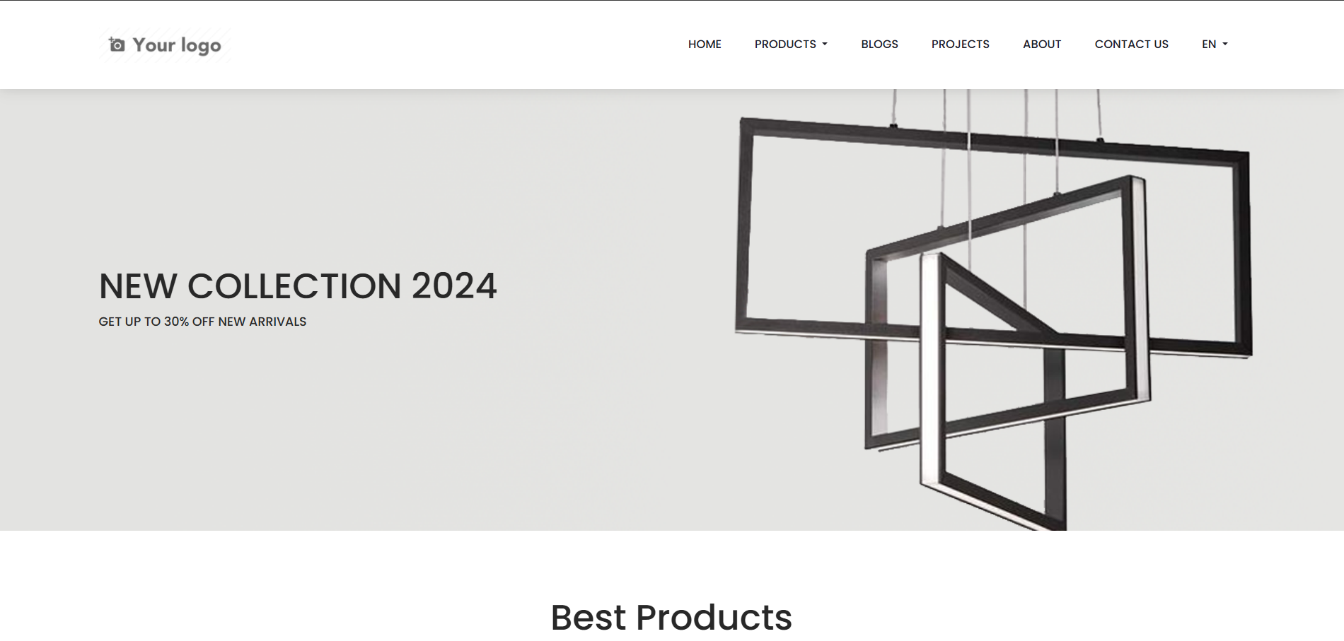 ERP Website